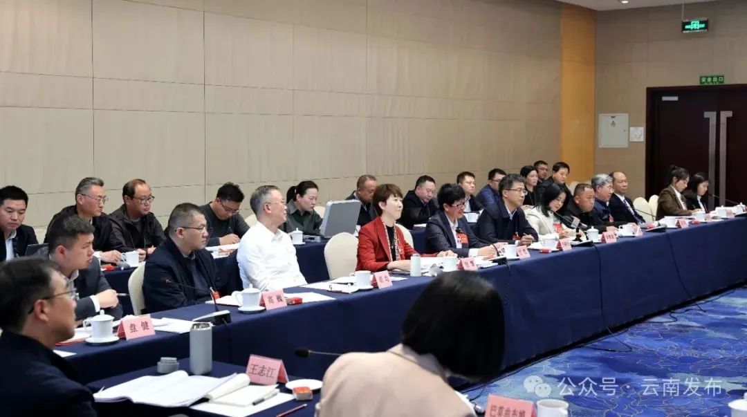 云南省代表团举行会议认真学习习近平总书记参加江苏代表团审议时的重要讲话精神