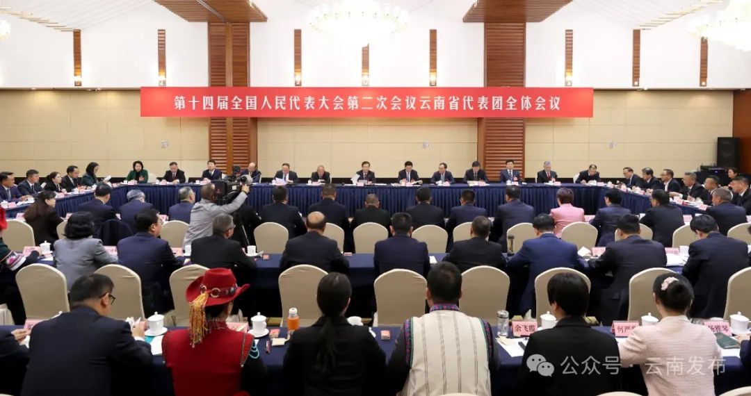云南省代表团举行全体会议 王宁主持 王予波石玉钢等参加