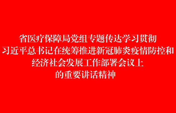 省医疗保障局党组专题传达学习贯彻习近平总书记在统筹推进新冠肺炎疫情防控和经济社会发展工作部署会议上的重要讲话精神
