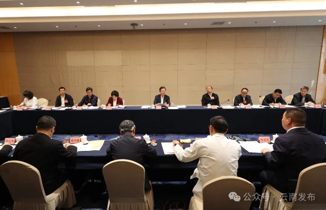 云南省代表团认真传达学习习近平总书记重要讲话精神 审议全国人大常委会工作报告 王宁王予波石玉钢等参加